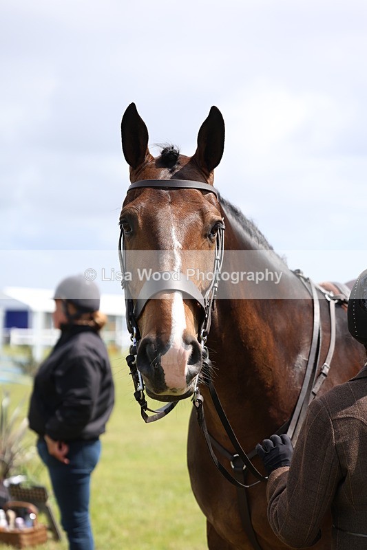 3E7A1605 - Class 9: Open Hunter