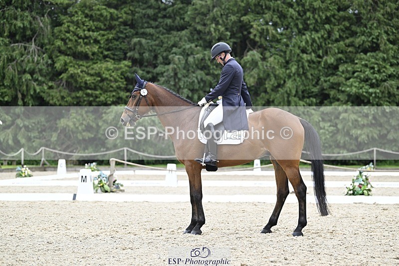 240523-161500-05433 - 443-FIGARO_DES_PREMICES-Alexander_Peternell