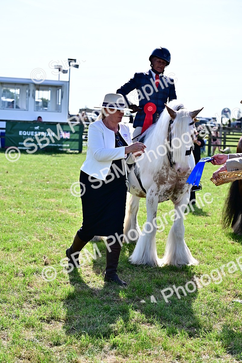 SBM_09418 - Class 63-65 - Traditional Gypsy Cobs In Hand & Ridden