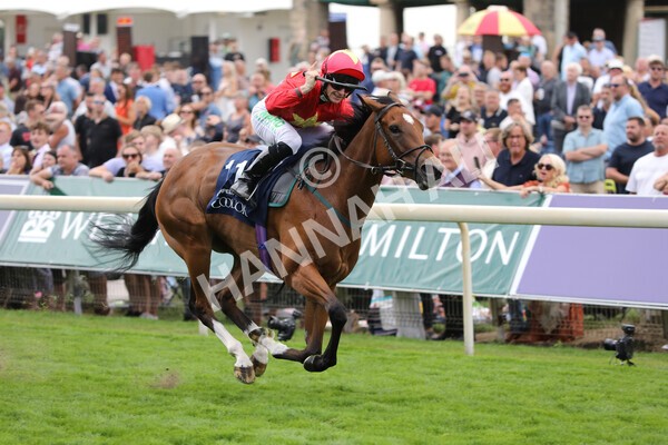 yr19082022r4-72 - Race 4 3.35pm Coolmore Wootton Bassett Nunthorpe Stakes (British Champion Series Race)