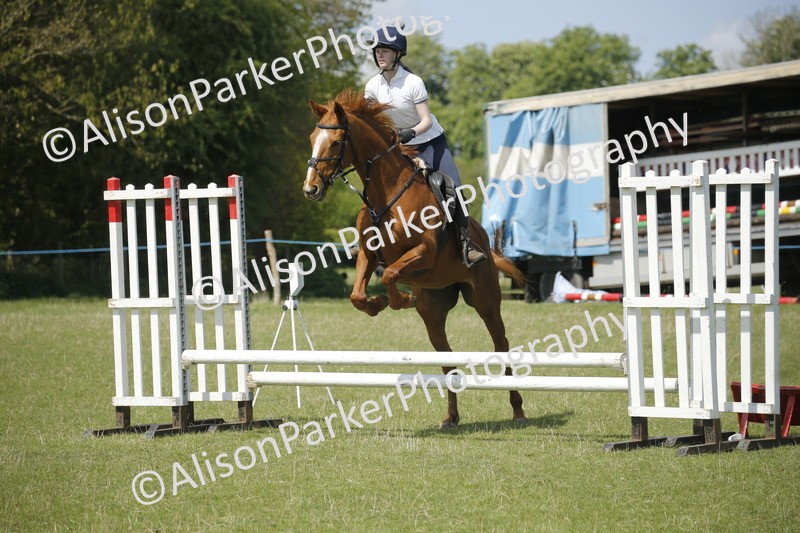 20250427-3520 - Class 14 - Absolute Novice 70cm