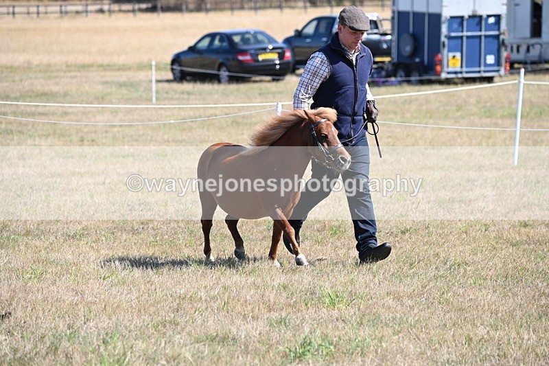 WJ6_4615 - Class 17 Mountain & Moorland