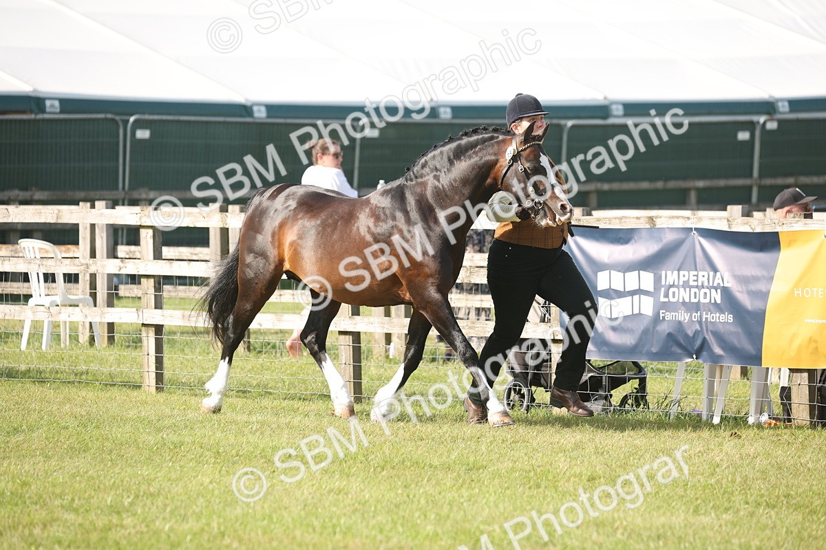 SBM_10344 - Class 33-38 - SSADL RIHS Qualifiers