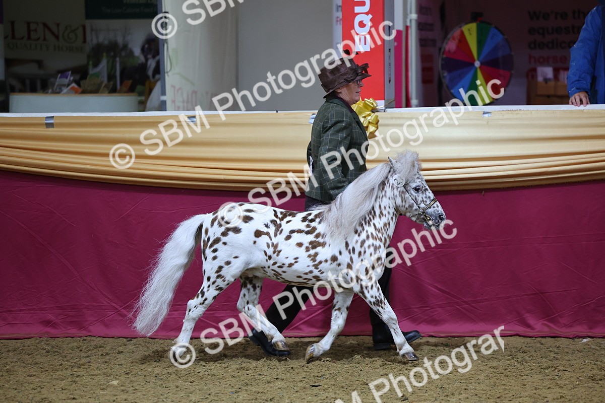 SBM_20802 - Class 902 - Supreme Final IH Veteran