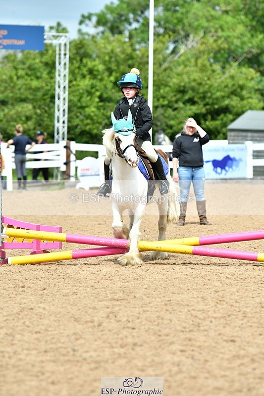 230804A-113249-02279 - Showjumping Competition