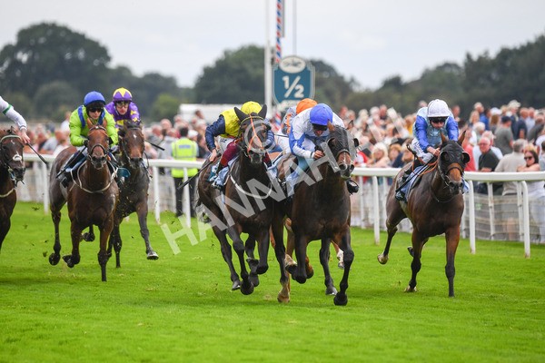 240823-Race 3-Ropey Guest-0372 - Race 3 3.00pm Clipper Handicap