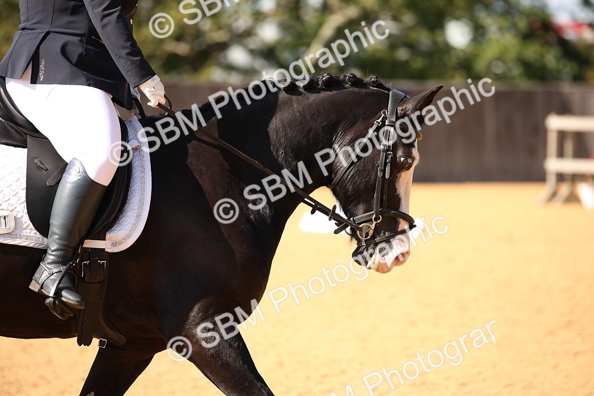 SBM_24238 - D5 - Small Tour Championship - Intro C