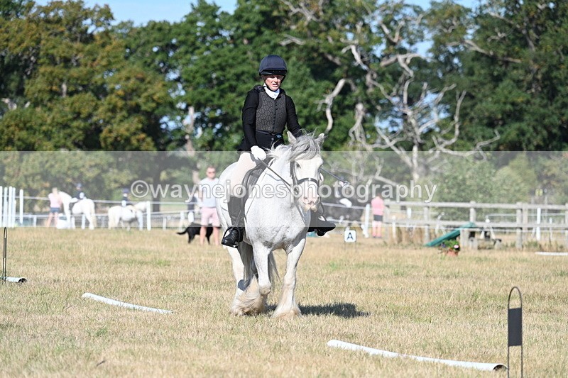 WJ7_9290 - Time 09:27 to 10:03