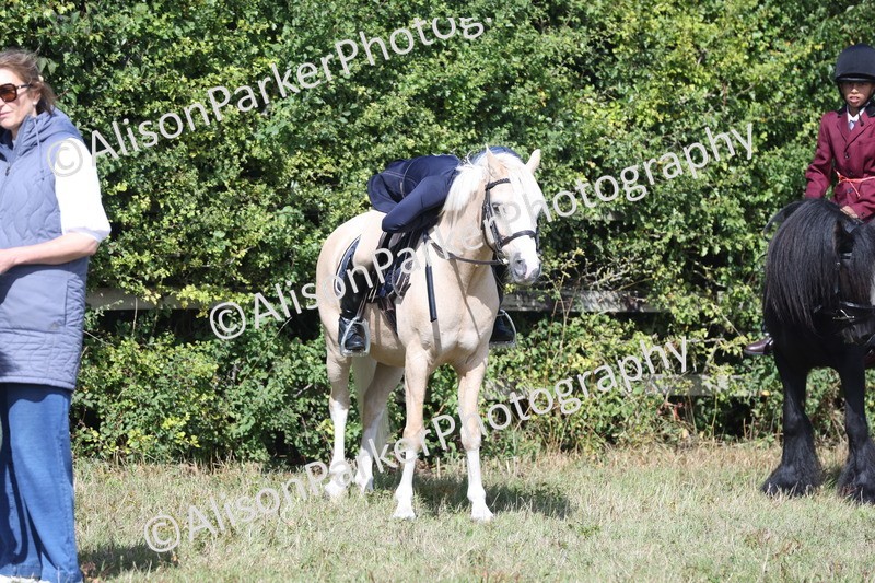 20250831-2522 - Class 16 - Family Pony