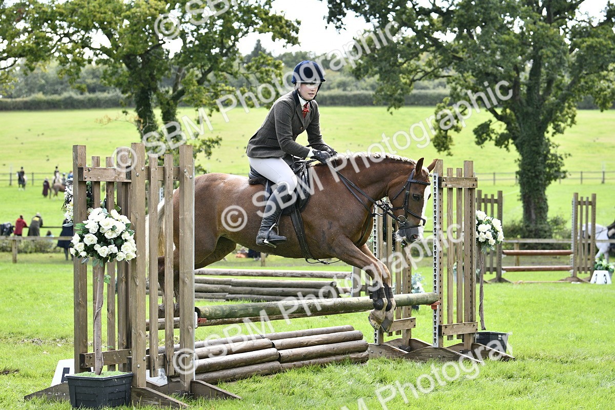 SBM_45644 - S33 - Working Hunter Pony