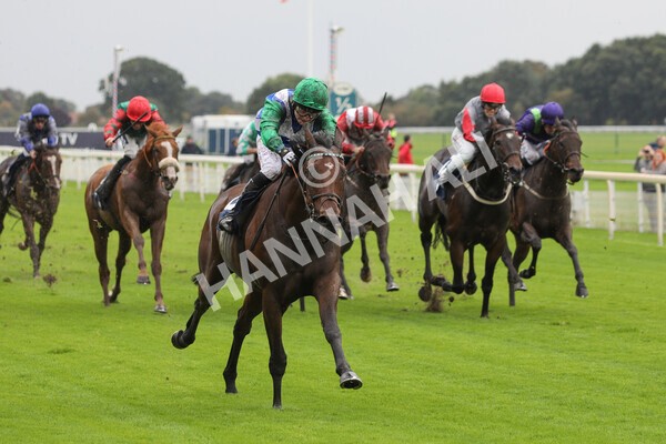 yr07102022r2-25 - Race 2 2.40pm William Hill Autumn Mile