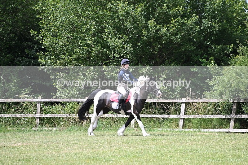 WJ6_6849 - 80cm XC Pairs