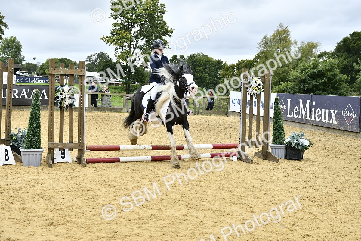 SBM_67991 - J2b - Mini Tour Junior Pony 30cm championship