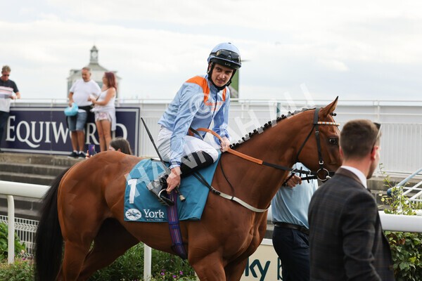 yr04092022r7-16 - Race 7 5.15pm Firmament Stakes