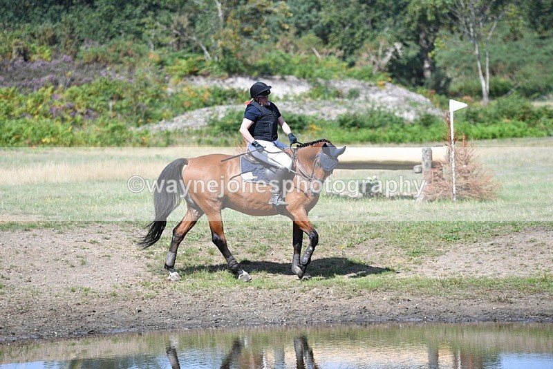 WJ5_2410 - XC Time 11:17 to 11:50