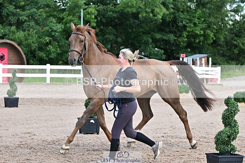 240718A-105253-01293 - Trot Up 12pm to 1pm