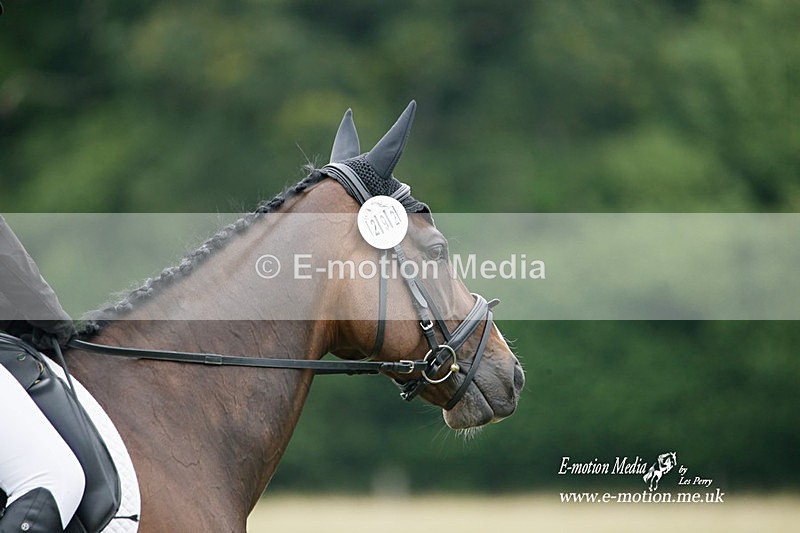 BVRC 030721 221 - Bourne Valley Riding Club Dressage 03/07/21