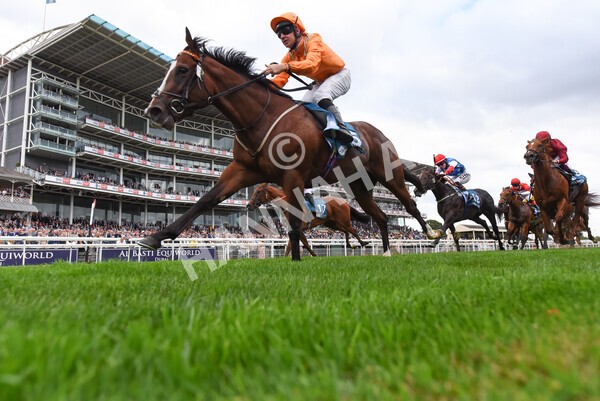 yr17082022r7-29 - Race 7 5.20pm Sky Bet Nursery Handicap