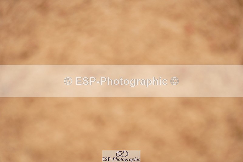 240526A-113948-07859 - Cls 26 Chard Equ 1.05m and 1.10m Grand Prix