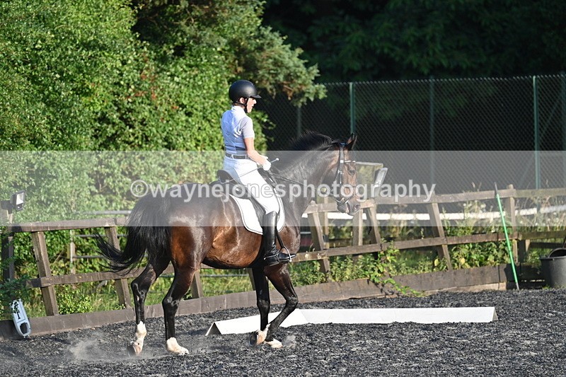 WJ7_0429 - Time 19:38 to 20:00