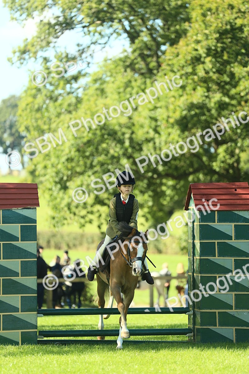 SBM_37428 - S29 - Novice & Newcomers Working Hunter Pony