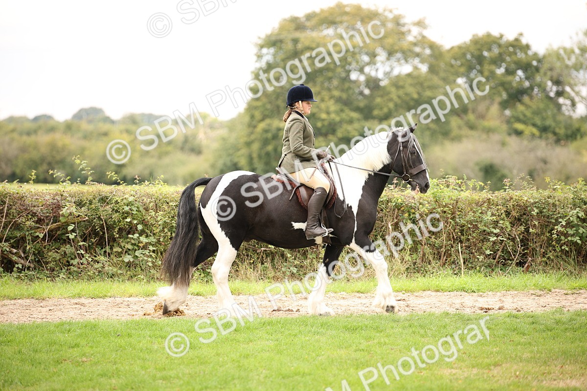 SBM_73405 - S68 - Traditional Cob Ridden