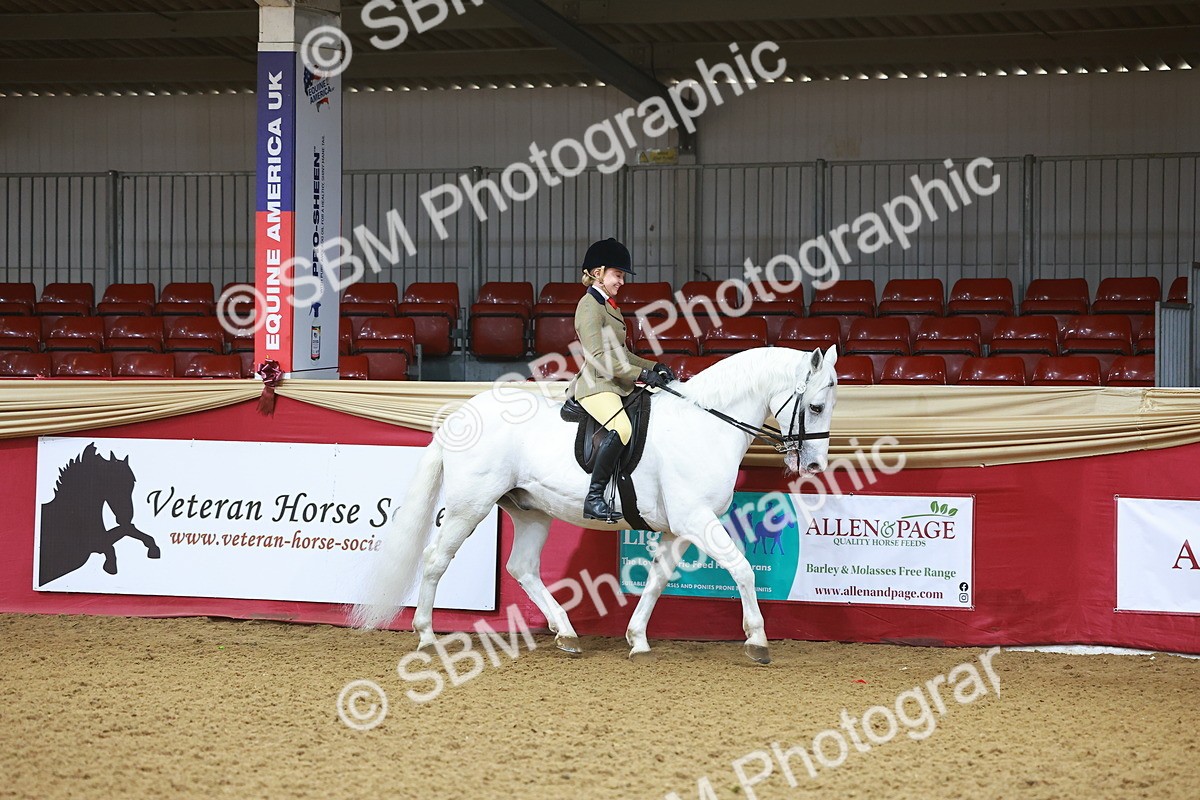 SBM_07569 - Class 101 - HOYS Veteran Qualifier - Ridden Diamond