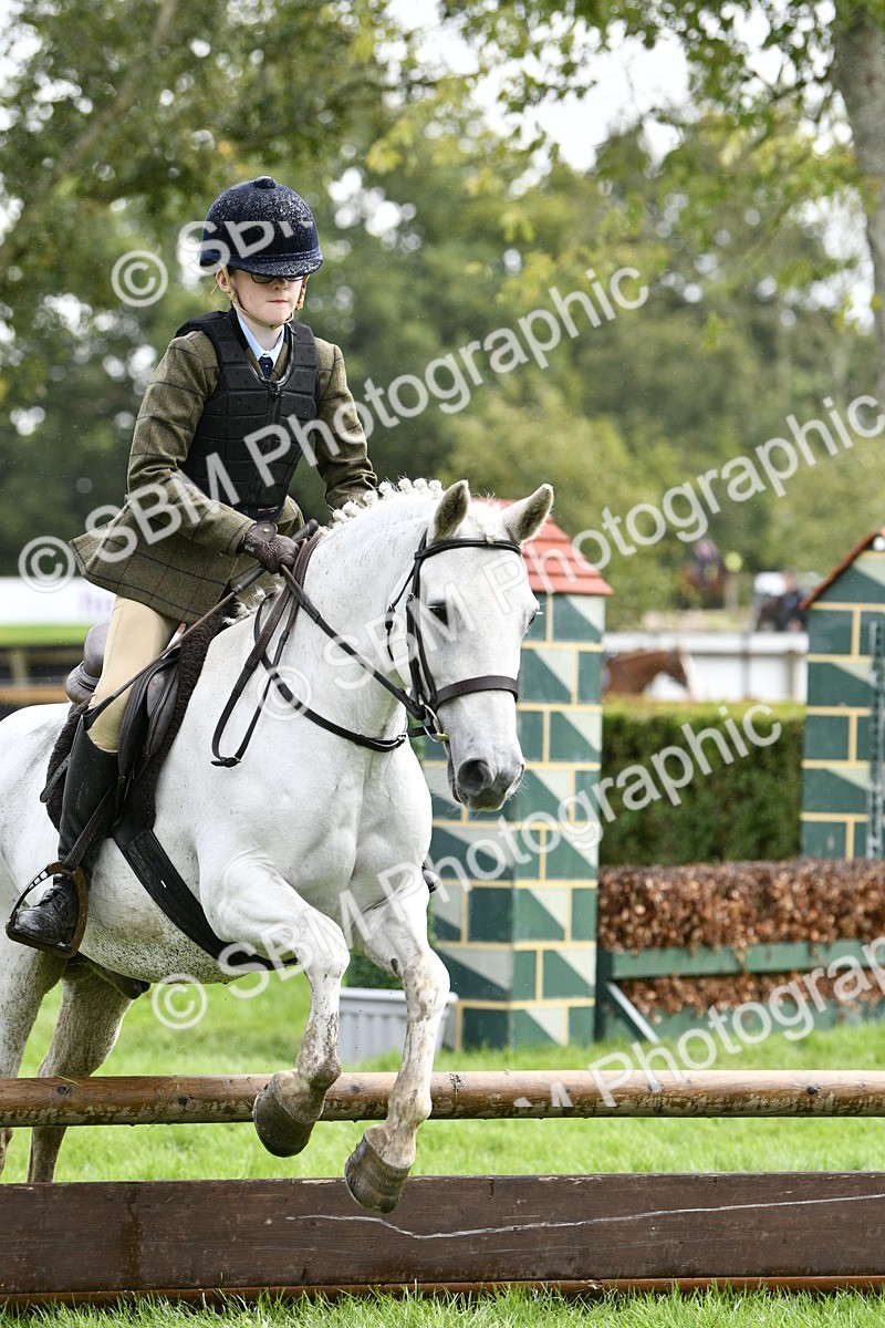 SBM_45584 - S33 - Working Hunter Pony