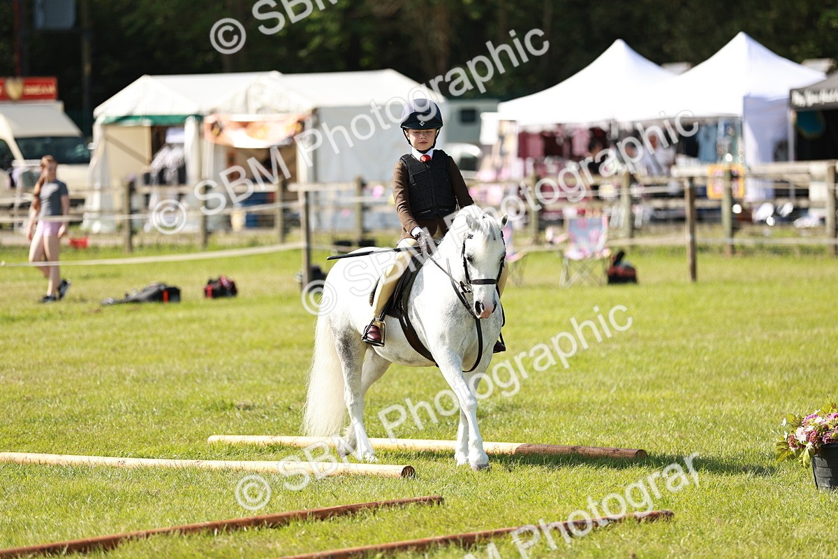 SBM_12678 - Class 106-107 - BSPS LIHS Working Sports Pony