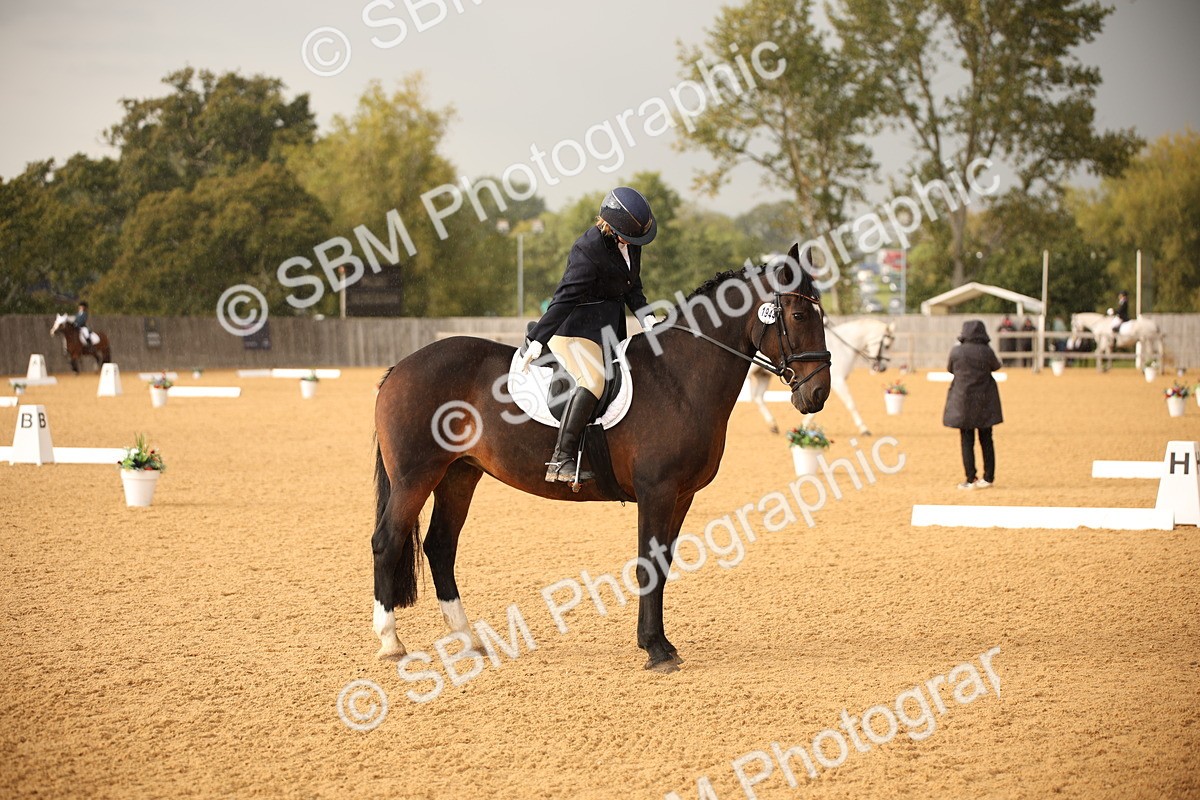 SBM_12348 - D3 Small  Tour Championship Intro A