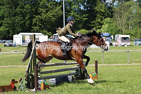IMG_4226 - Working Hunter