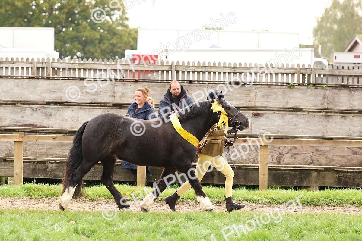 SBM_59769 - Start Supreme Championship