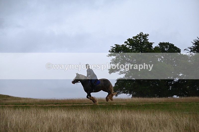 DSC_3292 - Time at Statue 12:59 to 13:49