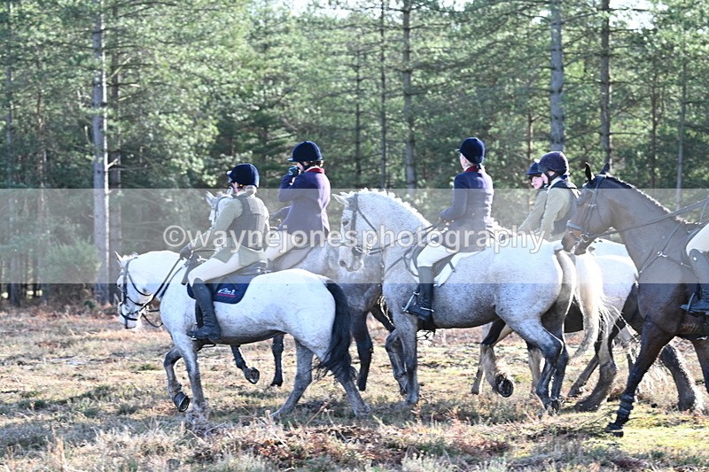 WJ7_7251 - Line 3 (no line 4 or 5)