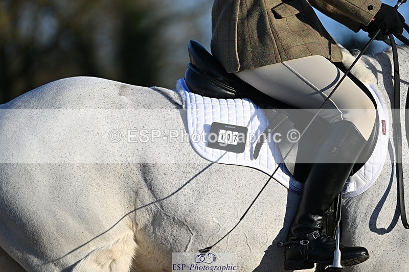 250125-091353-00024 - Dressage - CT Class 1 & 2 Intro 1