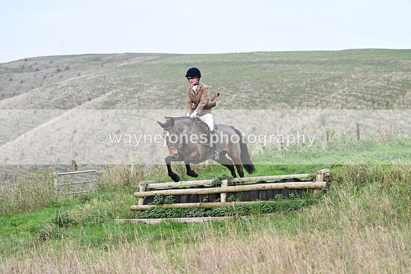 WJ7_9939 - Camera 1 & Last fence