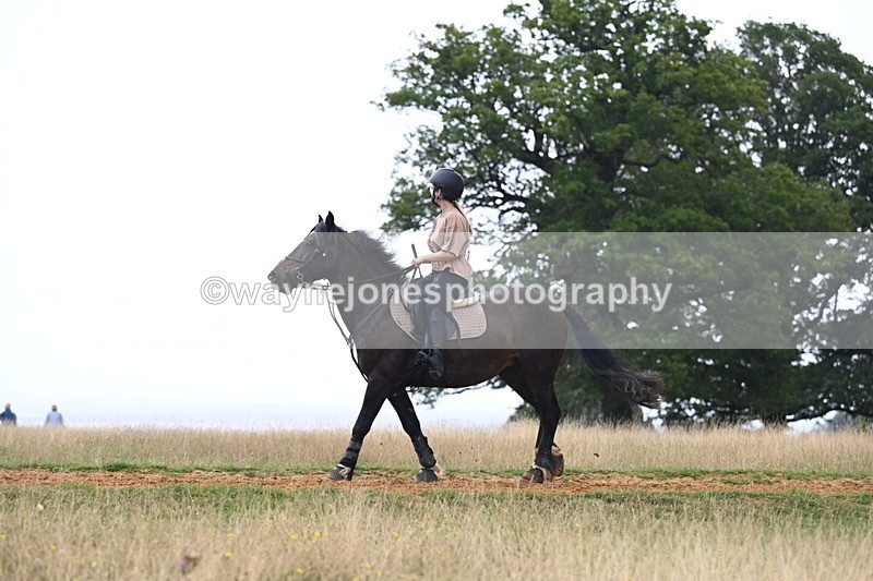 DSC_8346 - Time at Statue 13:52 to 14:33