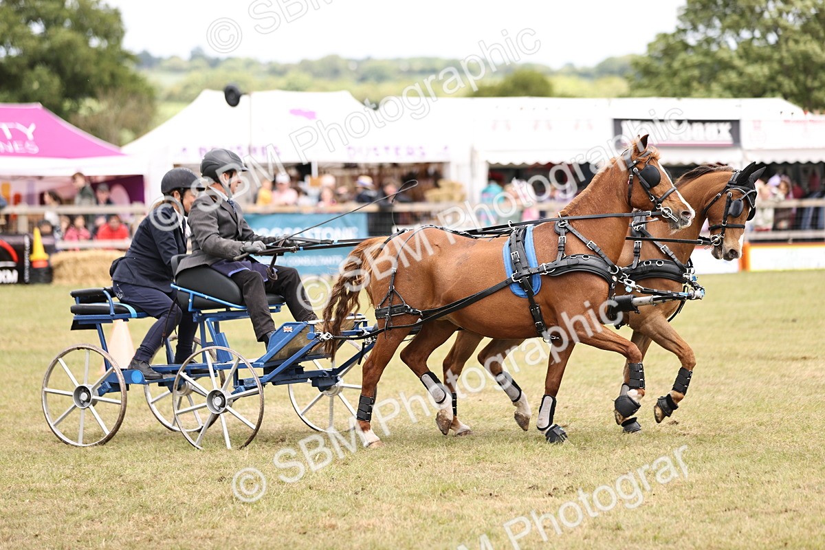 SBM_16008 - Class 91 - Scurry  exceeding 122cms