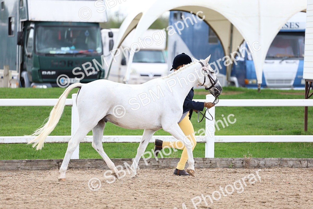 SBM_05030 - Class 27 - IH Competition Horse or Pony