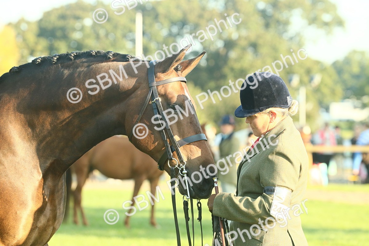 SBM_56697 - S36 - Starters Best Turnout