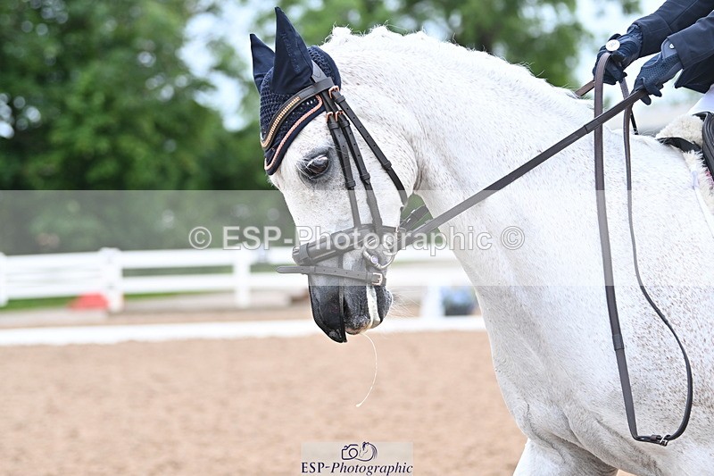 240623A-120635-18155 - Cls 49 Music Novice