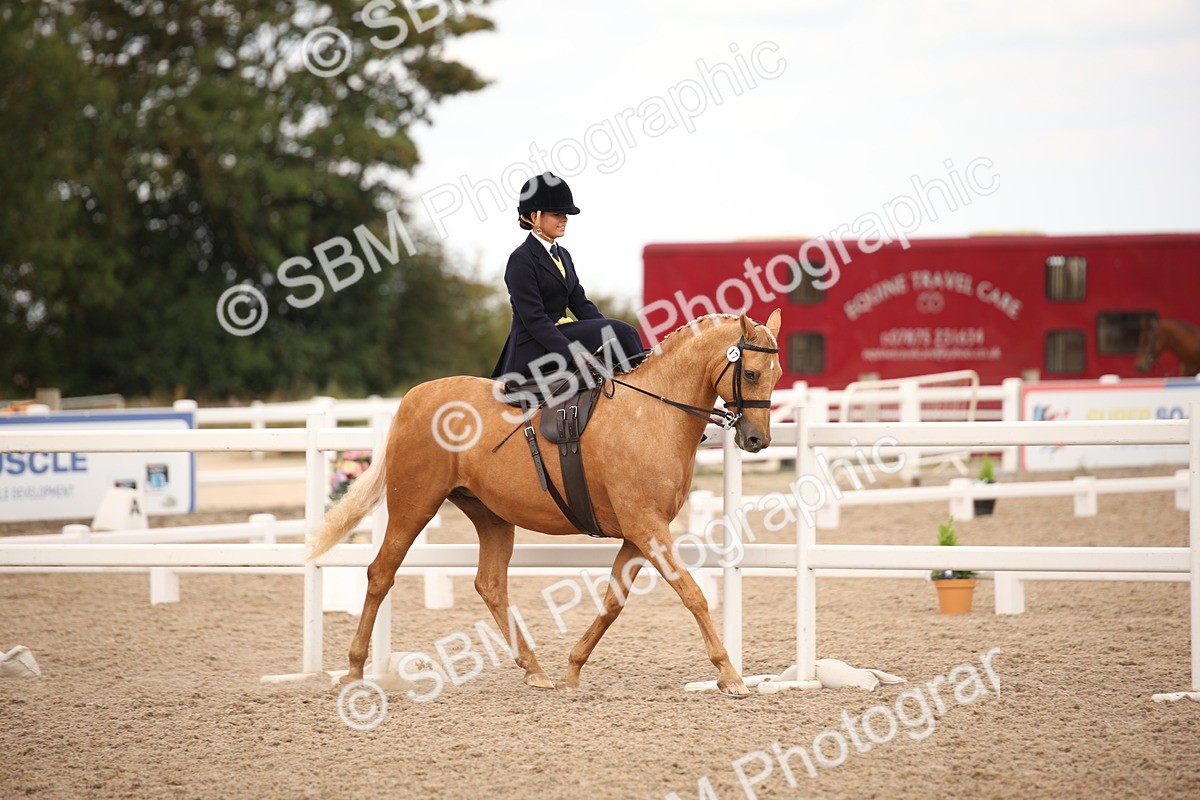SBM_05312 - Class 22 SSA Equitation