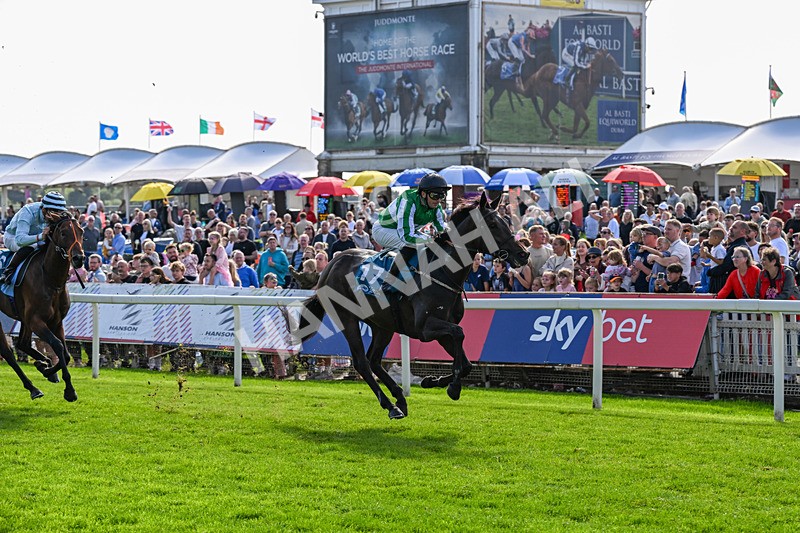 060926-Race 4-Stoneacre Donny-0277 - Race 4 3.15pm Saltmoore Collection Handicap