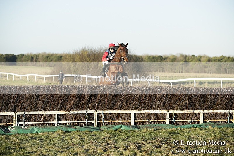 PtP 070118 -701 - Larkhill Racing Club Point to Point Larkhill 07/01/2018