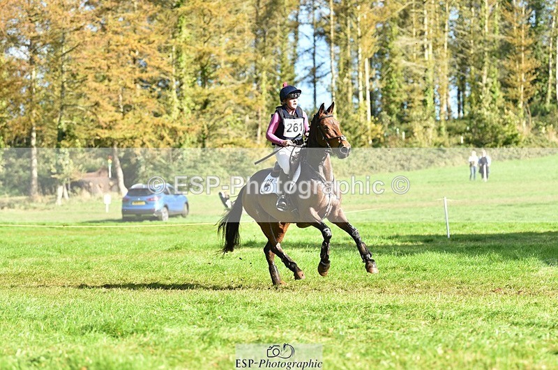 231022-115240-26130 - 261-TATTLER-Eugena.Barker-XC