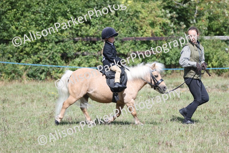 20250831-2662 - Class 17 - Lead Rein Pony