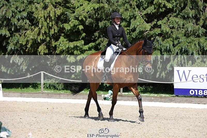 230526-150101-06601 - 377-GOLD_NUGGET-Jillian_Giessen-WEDTrotUp+DR