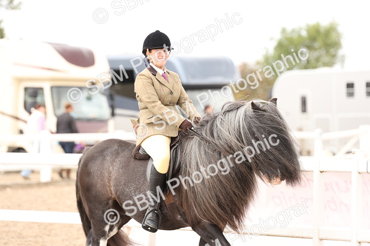SBM_19628 - Class 216 - Ridden Traditional - Native Cob