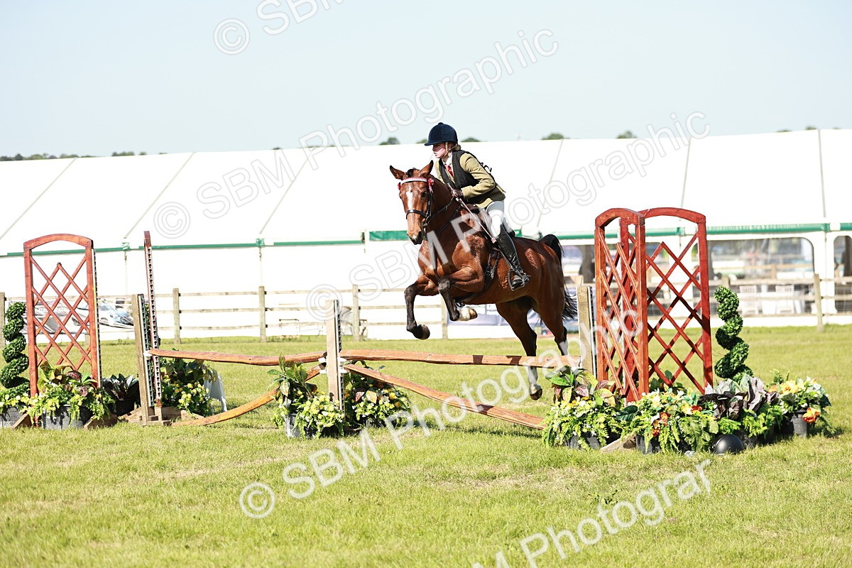 SBM_19129 - Class 115-116 - LIHS BSHA Rising Star Working Hunter & Show Horse