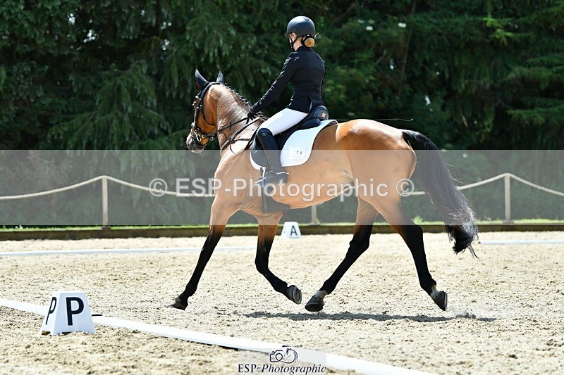 230623-131441-02343 - Cls 4 Novice 37Q 12.45 to End